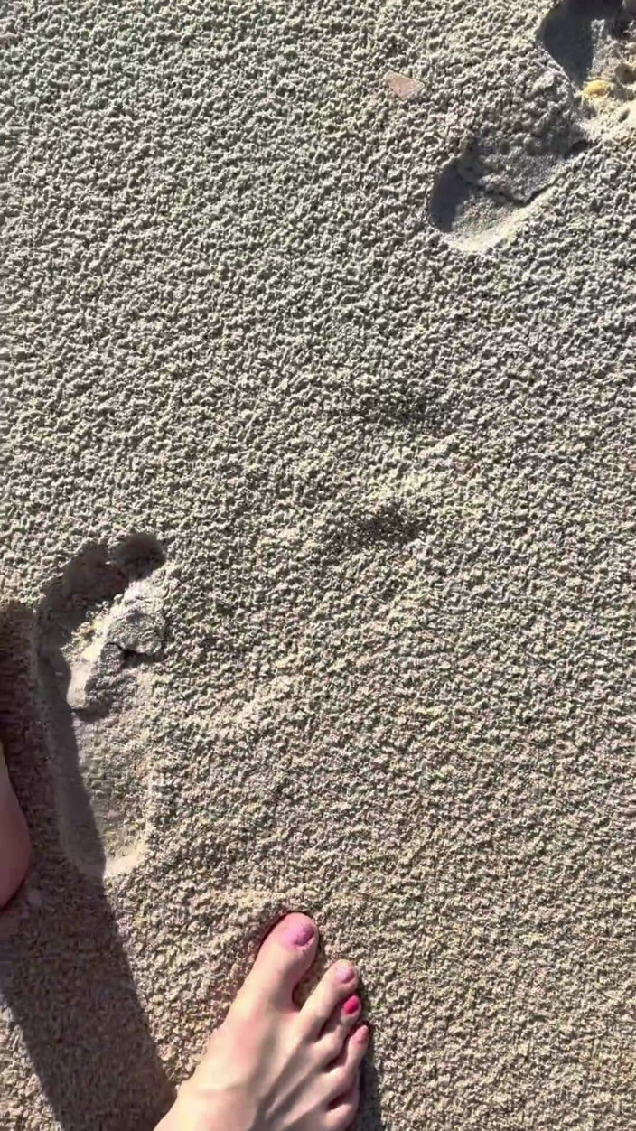 Peppermint Giantess: 해변에서 모래 인쇄와 크기 16 피트 비교