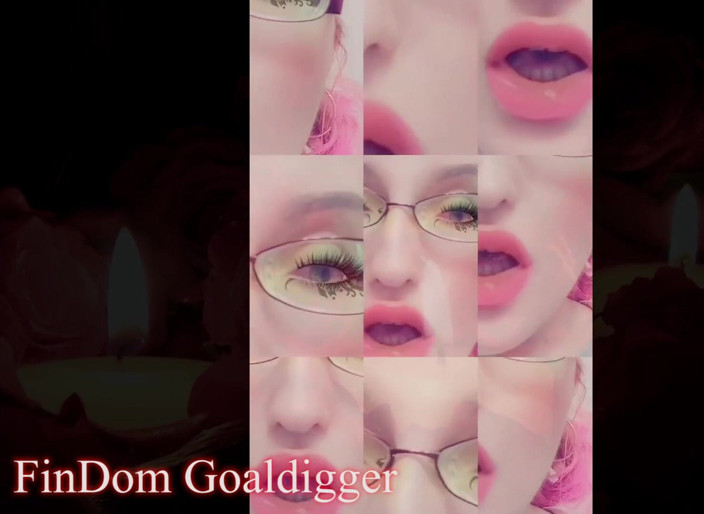 FinDom Goaldigger: Loser's Mantra