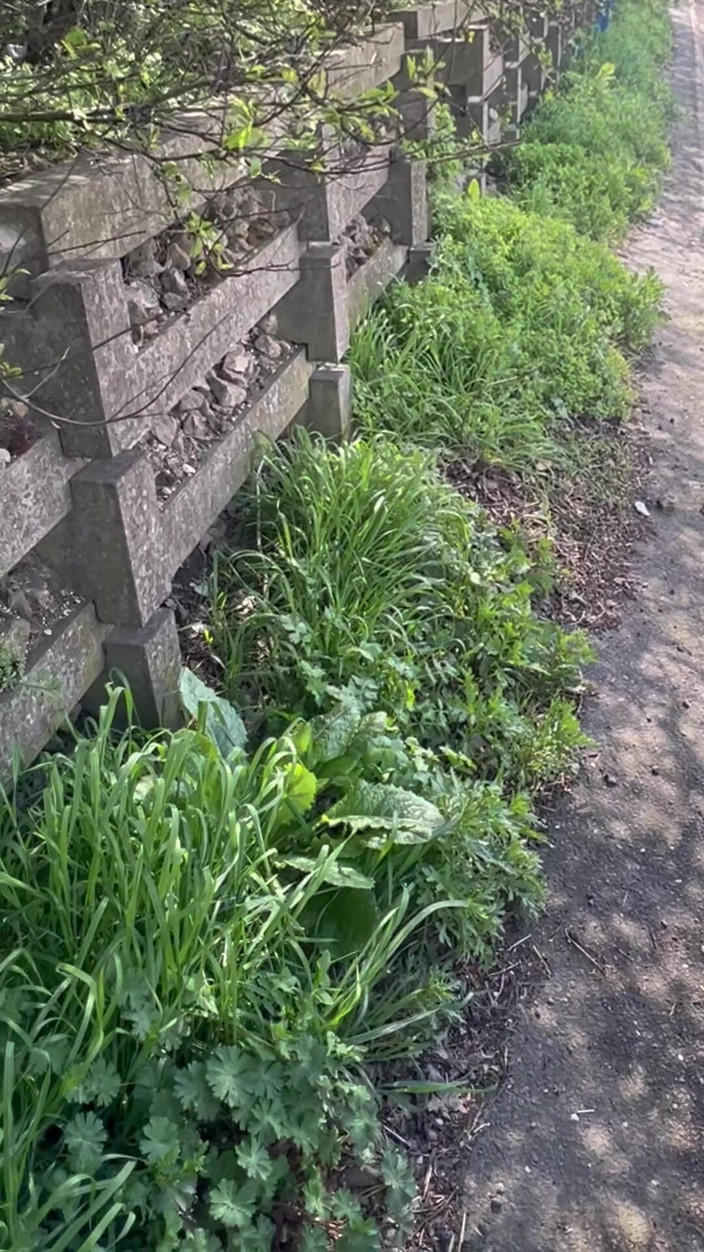 Hot dick in your ass: Compilation de moi en train de pisser longuement dans un...