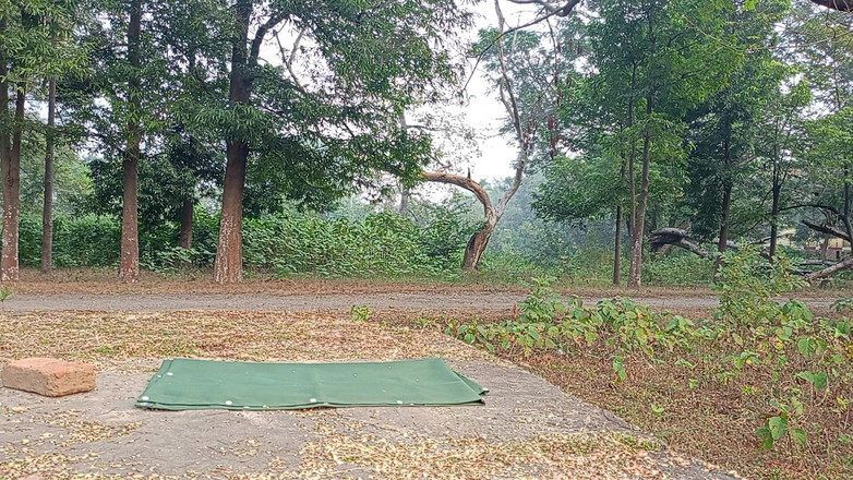 LinearOrnament35: Seks senaman seks tiri seks time tablet panjang