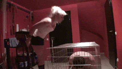 Femdom Austria: Szantzał go i pluł na niego