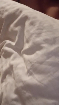 Hasin Dilruba