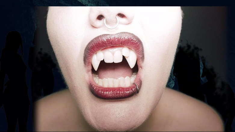 Ezra faith: Sonsuz goon: vampir sahibe 31 talimatı -