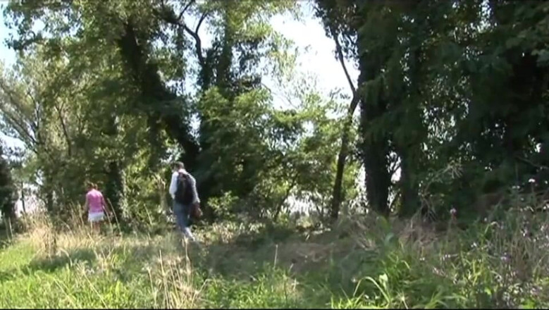 XTime Vod: Sexy tourist ussy fucking in the forest