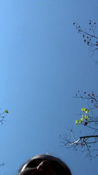 Montse Swinger: Cleaning the Camera Lens