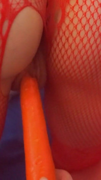 Red Bunny Wants a Big Carrot