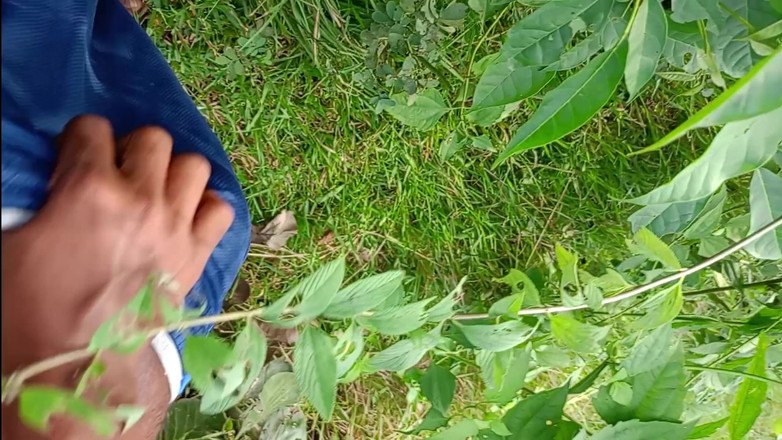 LinearOrnament35: Vlog - sacudidas sexuales hace que el pene más largo