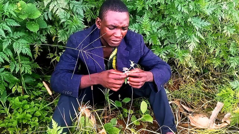 Judith xxx: In neuer liebe