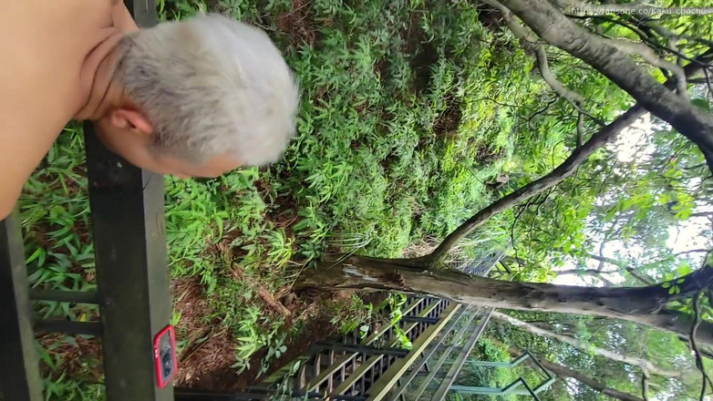 Calven: Cuộc sống mở ra những khẩu pháo hoang dã trên...