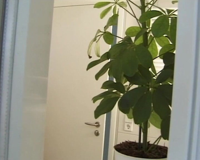 BB Video - Vintage Story: Deutsches amateur-teen, große natürliche titten, brünette gefickt # 1