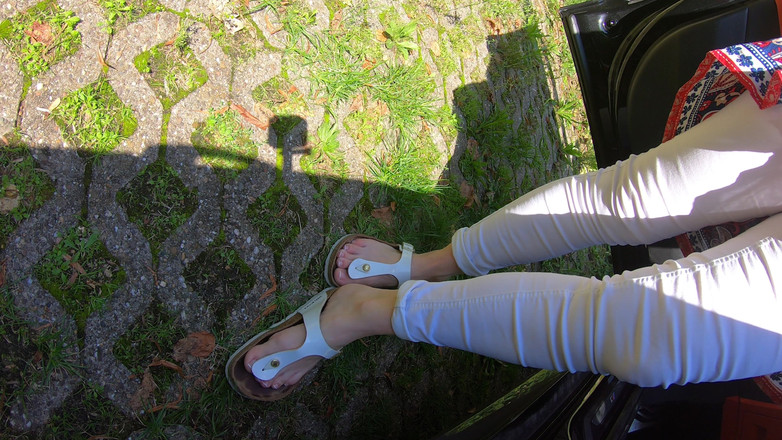 Sabdeluxe: Birkenstock trong xe