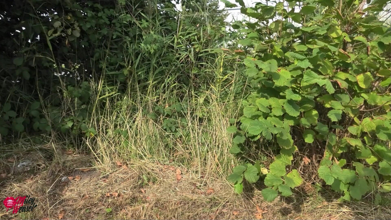 Miley Weasel: Co to sakra!! rande uprostřed hlavní silnice!!