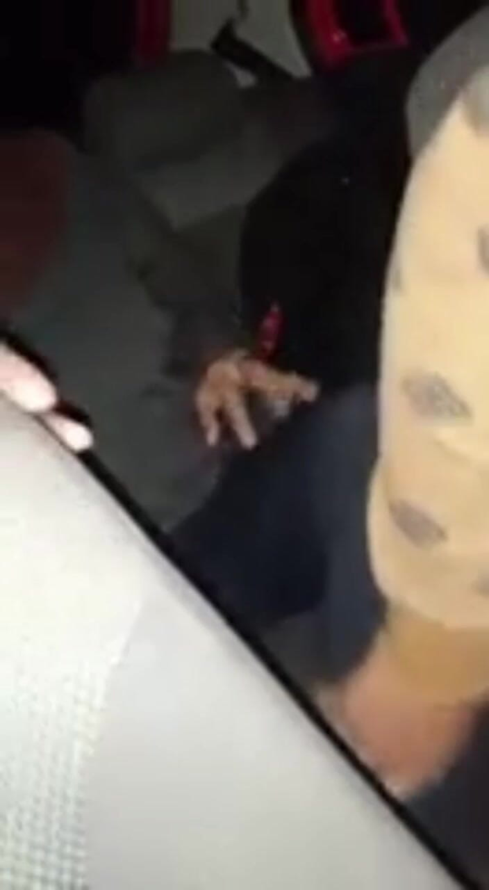 Mangacaribe: Doggind Pertama Dengan Pemandu Teksi Di Hadapan Suami