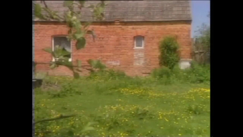 Cinema X: 90'ların sikişleri dizisi