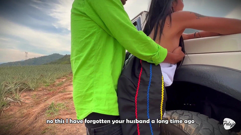 Pelaje mix: Seorang Wanita Petani Mahu Menuai Nanas Dan Sebaliknya Dia Menanam...