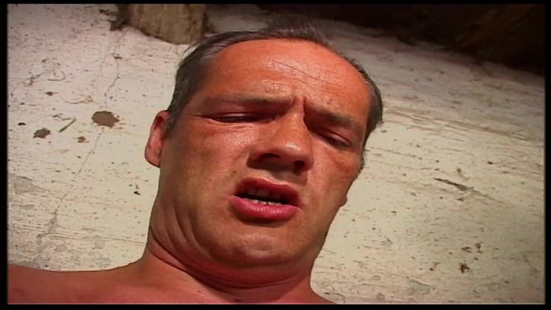 Vintage Movies XXX Best of: 复古金发熟女在谷仓和户外被干