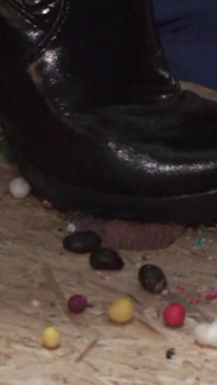 Step on Candy