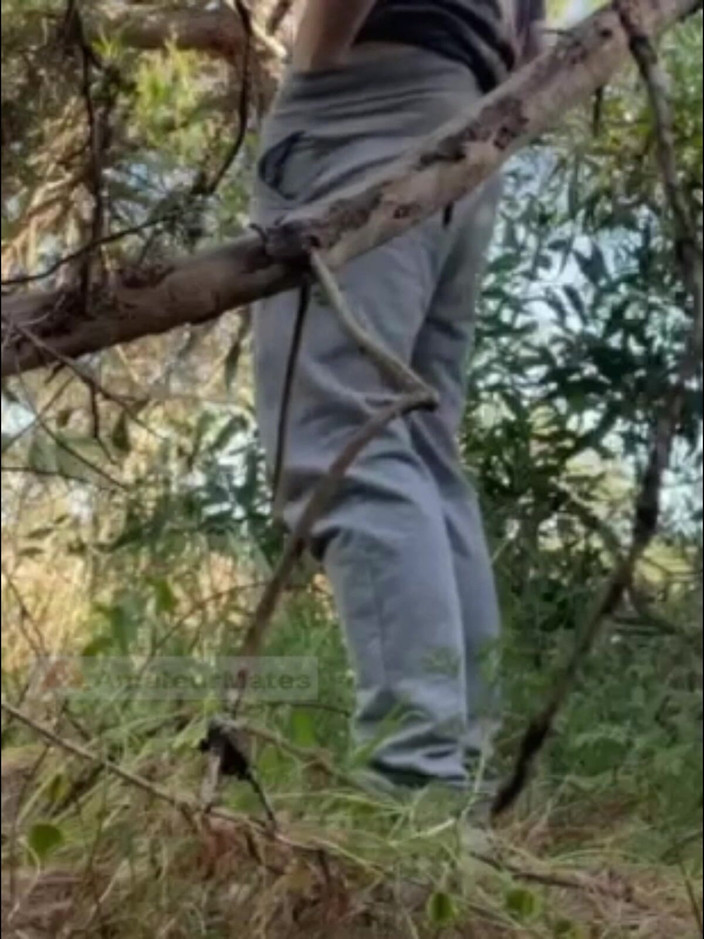 AmateurMates: Hot Amateur Boy Sucks and Rims in the Woods