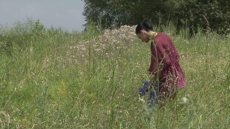 Pervy Studio: 见证Cytherea潮吹高潮的严重性