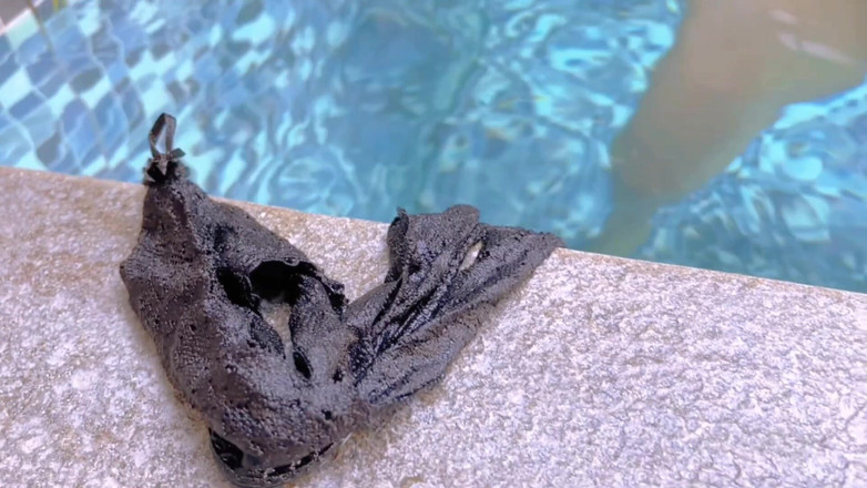 Nadalyne: Fare sesso all'aperto nella piscina farà la tua scarica di...