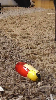 Matryoshka bebeğini eziyor!