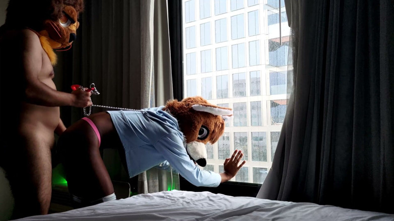 PawgrammerSocks: Em pêlo Femboy Furry Fursuit fode em frente de janela