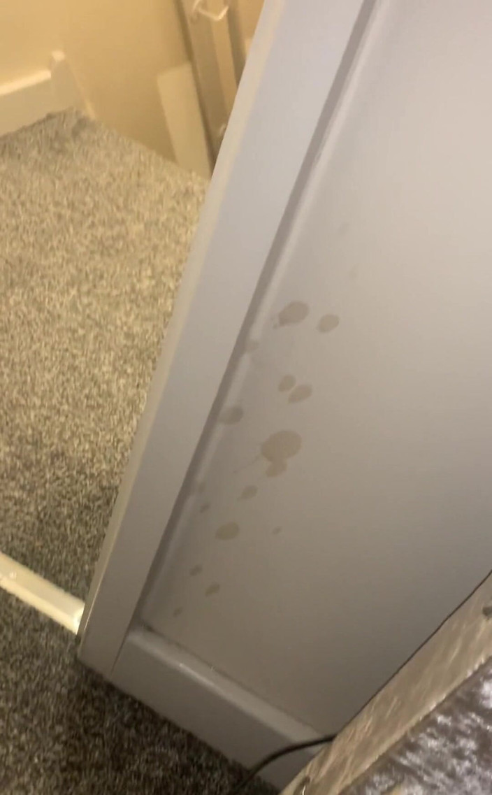 jay jenson: Если бы только удостоверения личности поймали, что на видео траха, я много кончил