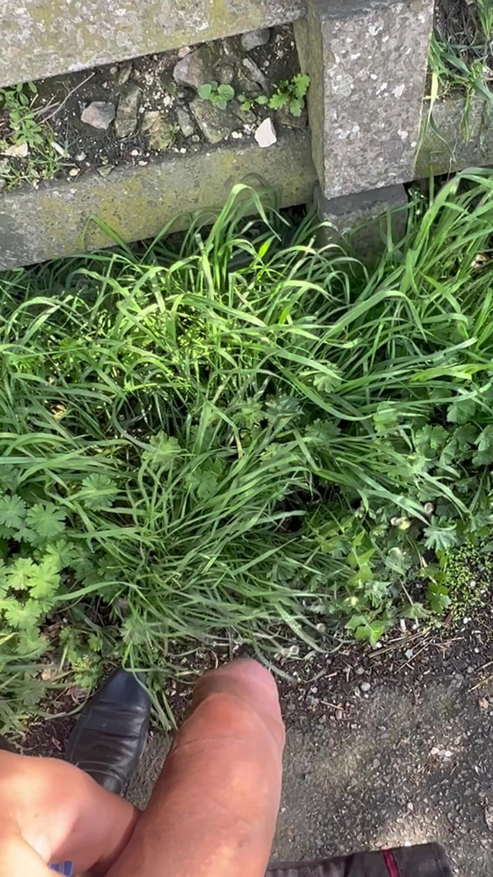 Hot dick in your ass: Compilation de moi en train de pisser longuement dans un...