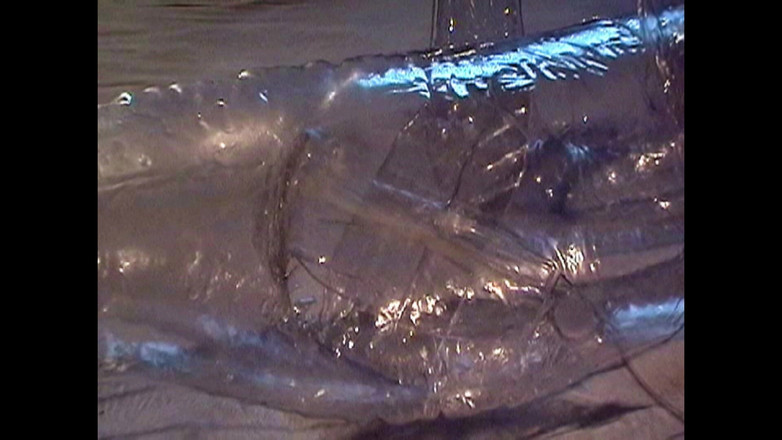 Mark Hannes: Cleardoll, remplit sa chatte, masturbation