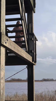 Dared to Strip Completely Naked and Walk to the Top of the Lookout Tower in Public