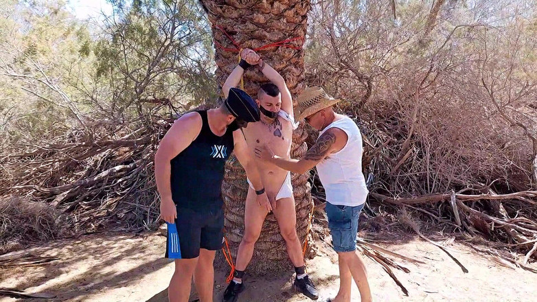 Master Drex: Dalam naungan pohon kurma