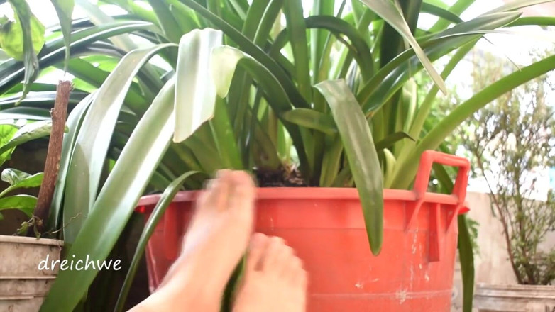 Dreichwe: Feet in the garden