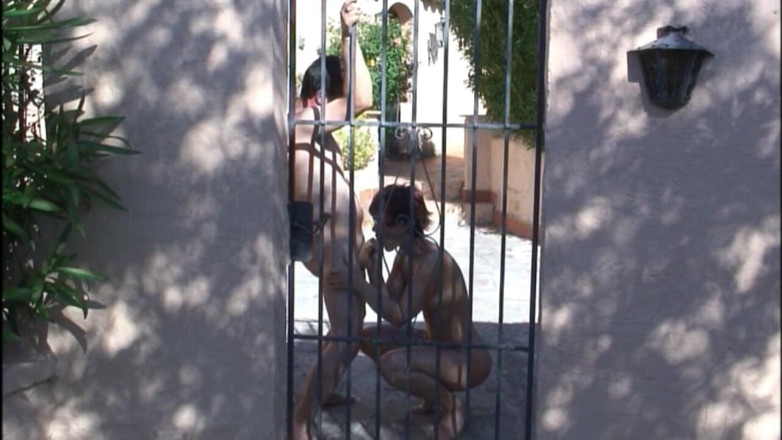 Popp Sylvie: Sylvie gets fucked at the gate