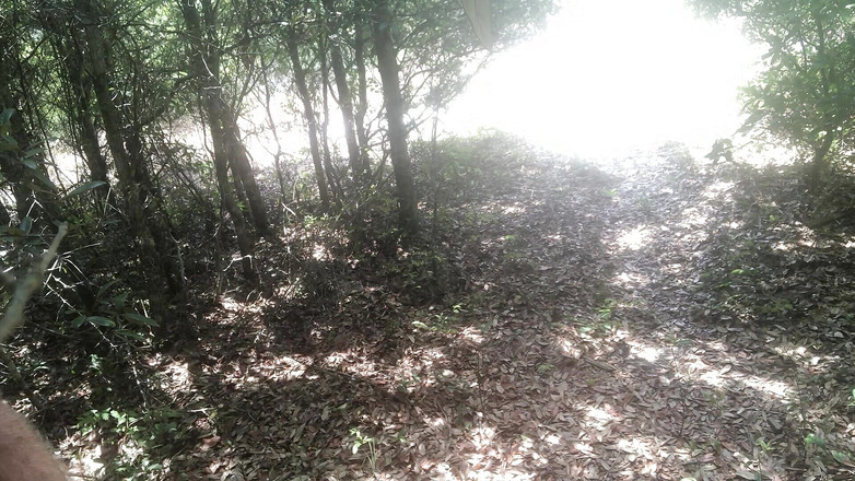 Justin Birmingham: 同性恋海滩大屌角质撸撸