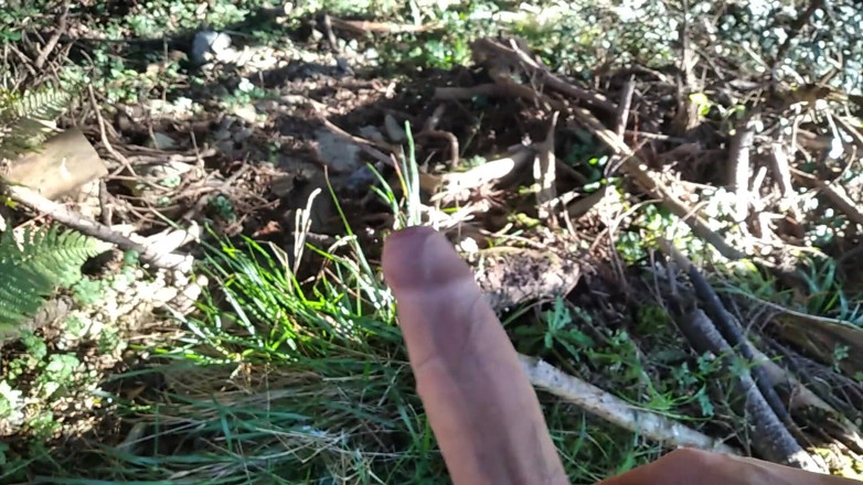 Elvissc: Velho com um pau enorme saiu em uma caminhada e...