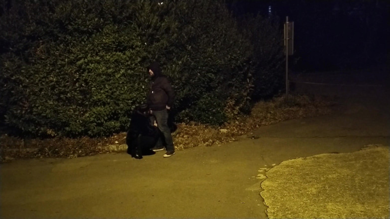 Toilet Mommy: She Asked Me to Stop the Car so She Could...