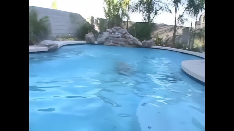 The Transexuals Megastore: O piscină transsexuală