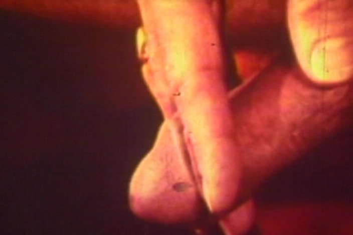 Vintage Life: Red-tinted Vintage Loop Captures Retro Foursome in Raw Action