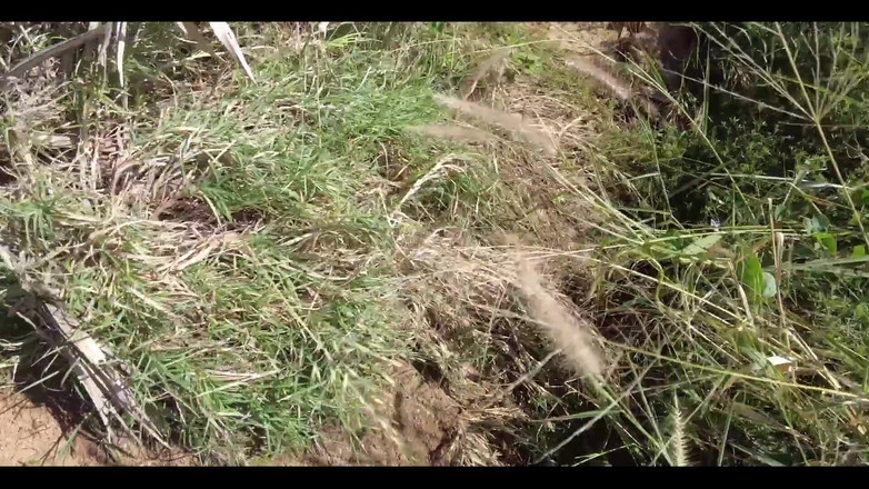 English Psycho: O Found uma barbie trans de chocolate deslumbrante de 18 anos...