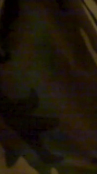 Old Sex Vid 1