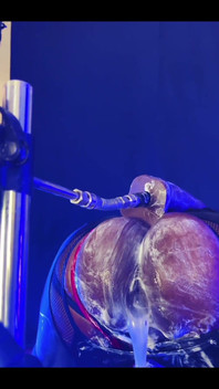 Gaping Creampied Butthole