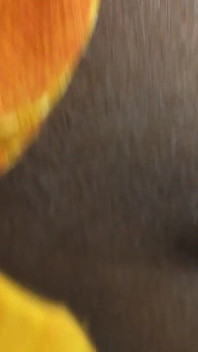 Desi Bhabhi's Ass Hit Bhabhi's House