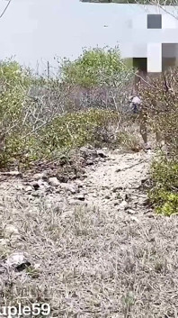 Wife Fucks a Random Fit Guy on Nudist Beach While Hubby Is Recording, Slut Wife Getting Fucked on Nudist Beach by Stranger