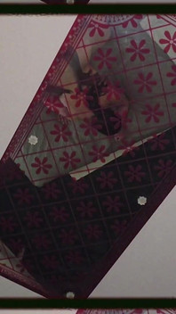 Soltando este vídeo completo amanhã com Maxximus