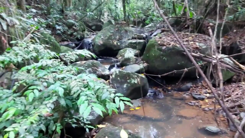 Novinha Insaciavel: Pelacur di laluan menghisap batang dan pantat