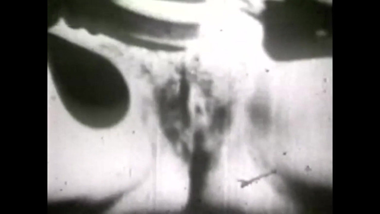 The Unforgettable: Sex Ändert Sich Nie