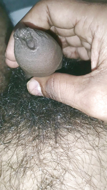 My videoxxx