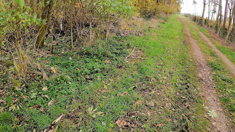 Bouncy Tits Action: Vi kan dina bröst där borta vid staketet