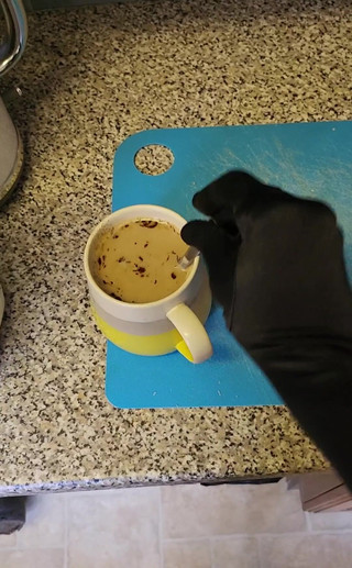 JessicaXD: Fare una tazza mattutina in lingerie calda