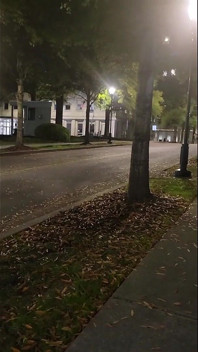 Street Pee 1